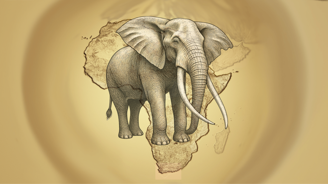 Why African Elephants Matter to the Wild