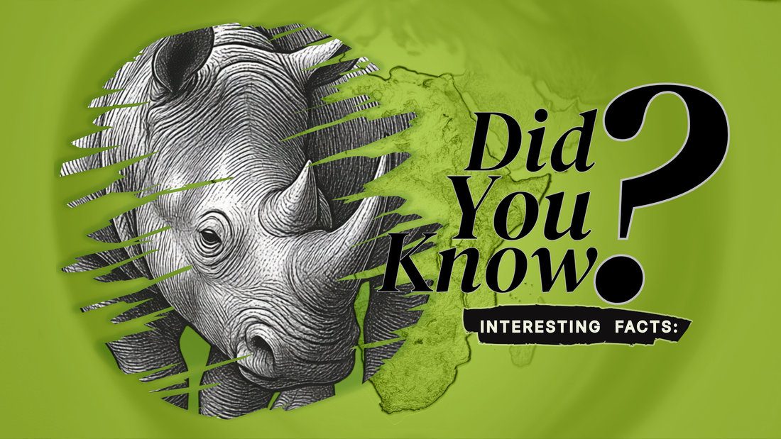 African Rhinos: 10 Surprising Facts Few People Know