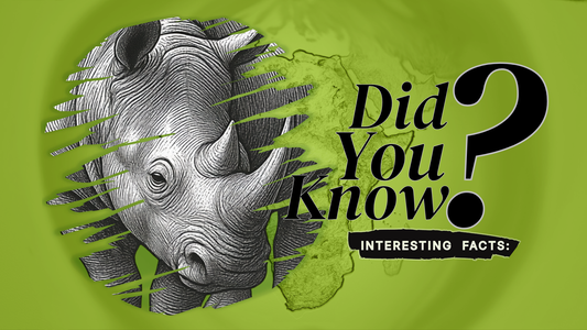 African Rhinos: 10 Surprising Facts Few People Know