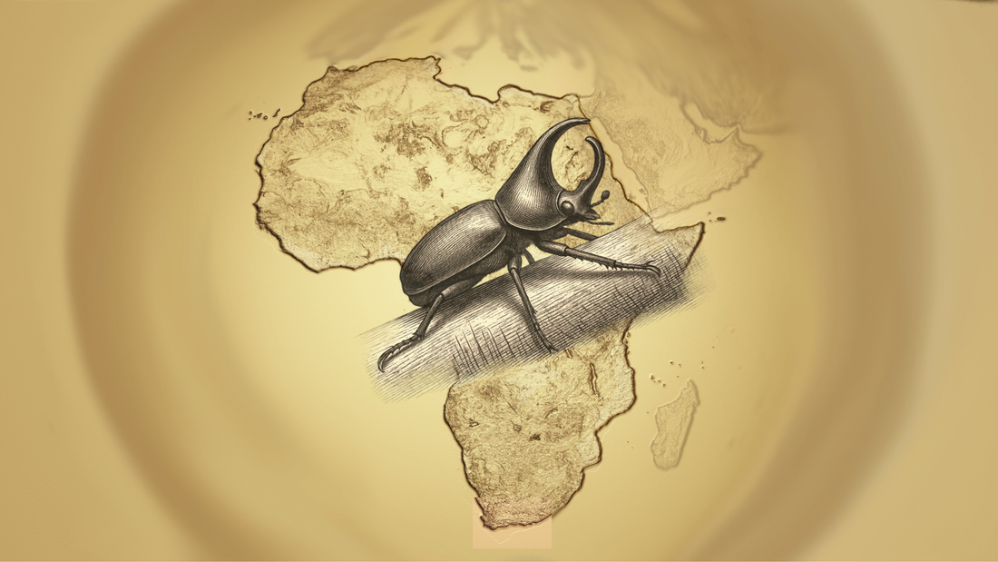 African rhinoceros beetle on a log with the Africa continent map behind it on a sand colored background