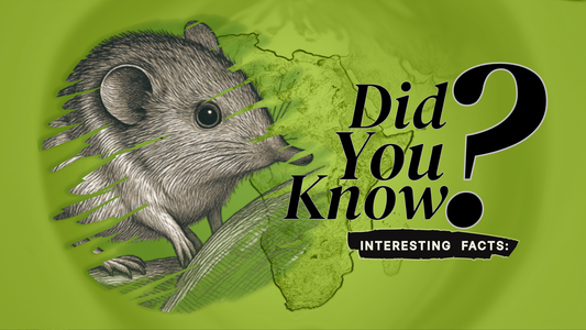 10 Surprising Facts About Africa’s Evolutionary Marvel