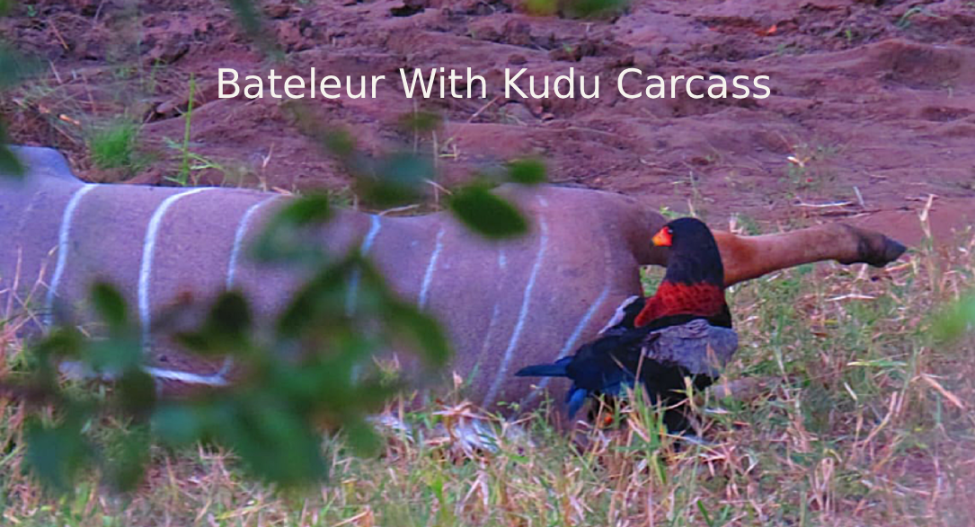 Part Three: The Great Return—Recovery and the Unsung Heroes