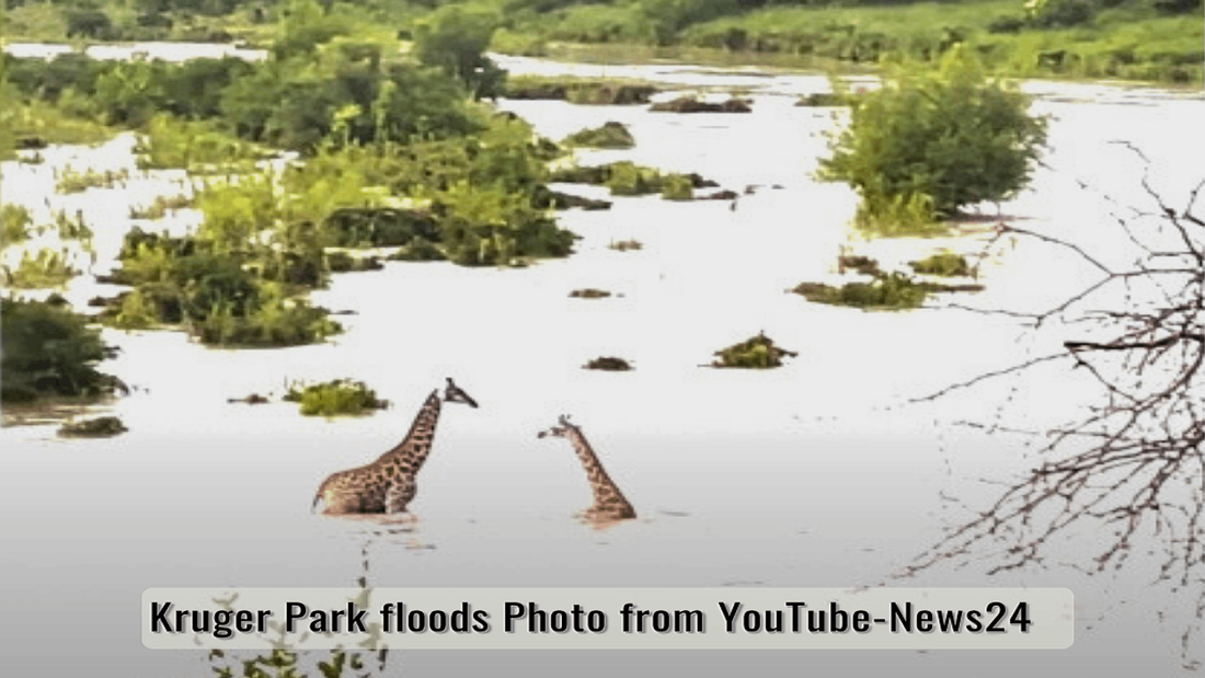 Part Two: The Deluge—Survival in the Heart of the Flood