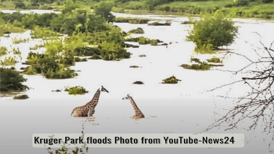 Part Two: The Deluge—Survival in the Heart of the Flood