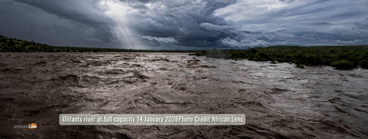 A sea of water coming down Olifant's in the Kruger National Park. A few rays of sun braking through dark clould