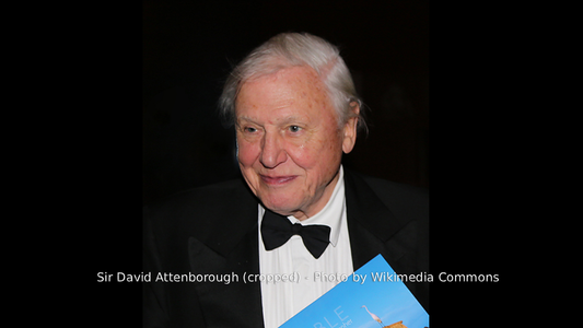 A Century of Life, a Legacy for the Wild: Honoring Sir David Attenborough