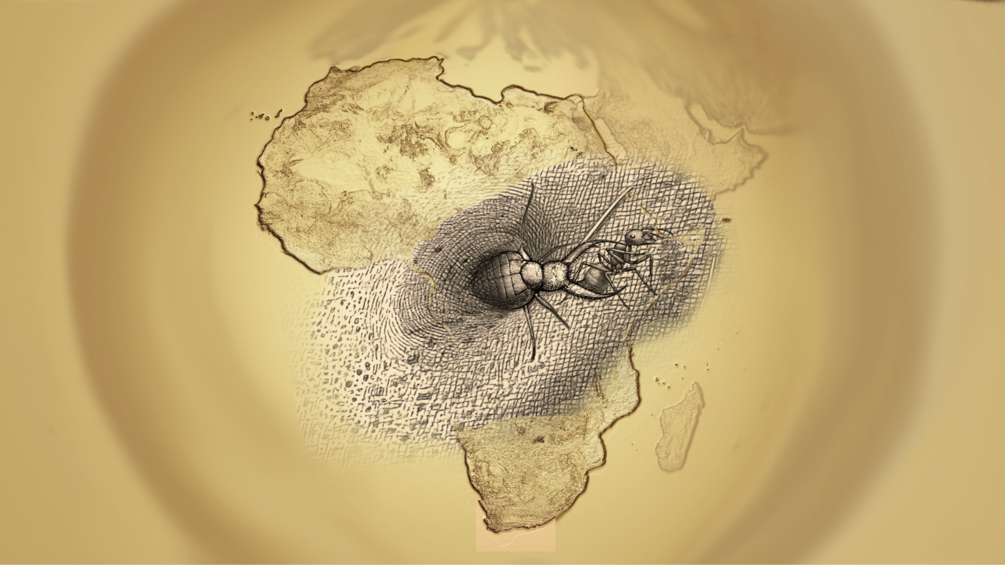 A sepia-toned illustration showing a map of Africa with a detailed antlion holding on to an ant it caught in the center, rendered in black and gray linework over a warm beige background.