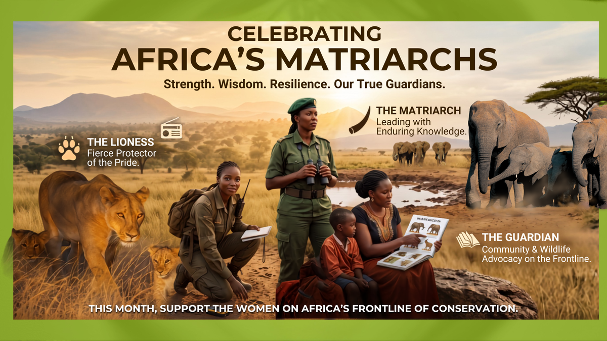 A promotional graphic with a green border and large headline reading 'CELEBRATING AFRICA'S MATRIARCHS.' The central scene shows a woman in military-style clothing standing with children, alongside lions, elephants, and a savanna landscape.